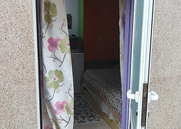 манолов Варна