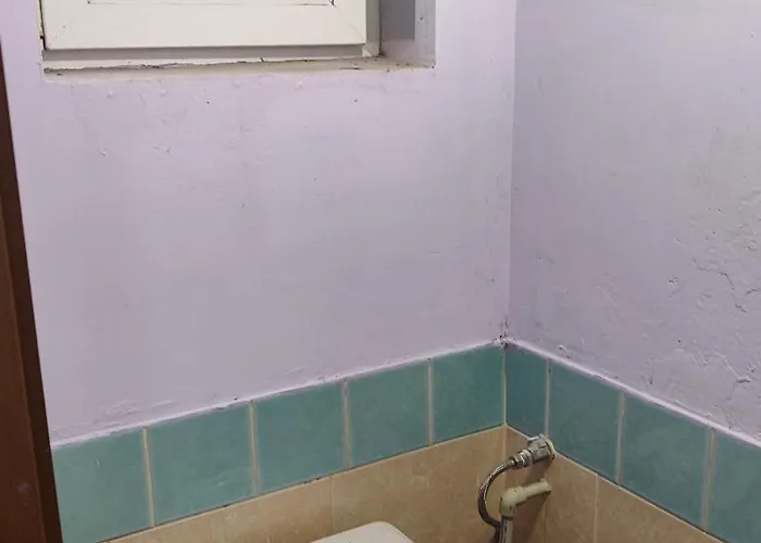 манолов ヴァルナ